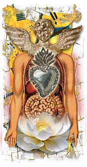 Organ Transplants: Promising News for Positive People