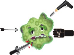 Battling the Enemy on Many Fronts: Inside the Science of HIV Vaccine Development