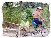 At the Crossroads -- HIV and the People's Republic of China