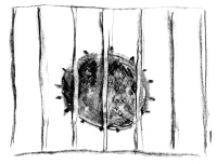 No Protection: A Prisoner's True Story