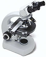Microscope