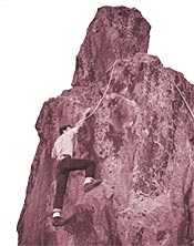 Going to Extremes to Stay Alive