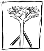Illustration by S. Weininger