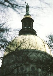 Georgia ADAP Update