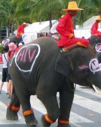 The Elephant From the Other Side of Silence (or HIV News From Four Compass Points)