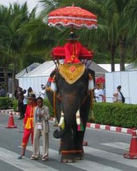 The Elephant From the Other Side of Silence (or HIV News From Four Compass Points)