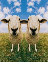 Retro Part 2: Heartbreaks and STIs (or, Remembering Dolly)