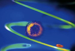 Can Drugs Catch Up With HIV? 12th Conference on Retroviruses and Opportunistic Infections