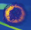 Can Drugs Catch Up With HIV?: 12th Conference on Retroviruses and Opportunistic Infections