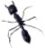 Five Ways to Tackle Toxicity (or the Ant, the Spider, and the Bee)