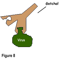Figure 8: Antibody binds with the virus.