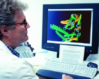 UCLA's Steven Miles, M.D., examines a representation of resistant HIV protease (photo by Paul Antico).
