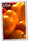 Article: Stretchging Your Budget With Food Stamps
