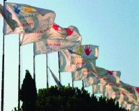 Article: Barcelona 2002: Renewal of Commitment