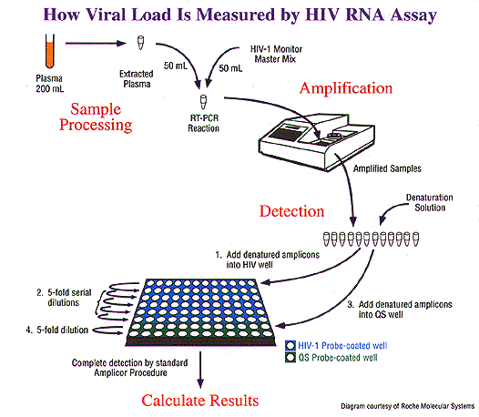 Use of the HIV RNA Assay