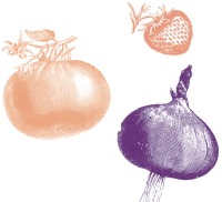 Article: It Pays to Be Picky: Tips for Selecting, Storing and Preparing Fruits and Vegetables