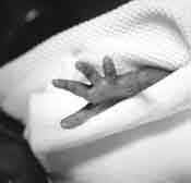 01hand.jpg (2174 bytes)