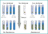 En esta gráfica se muestra cómo se mide la resistencia del virus en el laboratorio