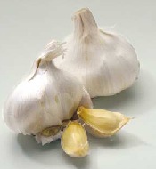 Los Suplementos de Ajo Pueden Disminuir la Potencia de los Medicamentos anti-VIH