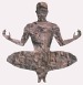 Article: Will Your Way to Better Health: Meditation With the Elements on the Breath