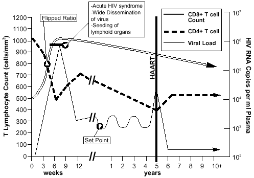 Hiv Cd4