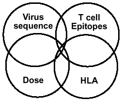 Factors Determining 'Set Point' and Viral Load in the Setting of Acute HIV Infection