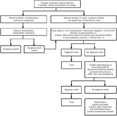 HEPPigram: Evaluation of Diarrhea in Patients With HIV