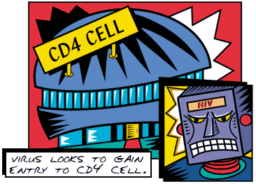 Virus looks to gain entry to CD4 cell.