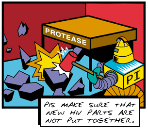 PIs make sure that new HIV parts are not put together.