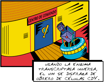 Usando la enzima transcriptasa inversa, el VIH se disfraza de obrero de células CD4.