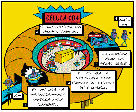 Descripci�n general