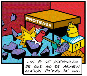 Los PI se aseguran de que no se armen nuevas piezas de VIH.