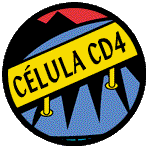 Célula CD4
