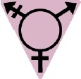 As Trans People, Do We Create Our Own Barriers to Health?