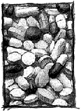 pastillas