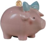 Peter's Penny: Development & Fundraising