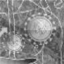 HAART at 10: A CFA Timeline