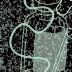 Salvage Therapy II Think Tank: Integration of Salvage Research Into Existing Networks and Structures