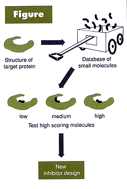 Figure: Testing Inhibitors