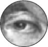 CMV: A Marker of Disease Progression?