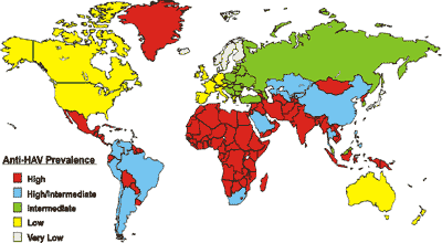 Anti-HAV Prevalence