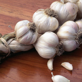 Herbs at a Glance: Garlic