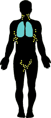 male silhouette