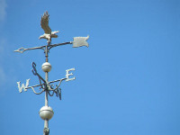 When Disclosure Is Dangerous: Remembering Cicely Bolden