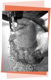 Skin and Soft Tissue Infections Caused by Community-Acquired Methicillin-Resistant Staphylococcus aureus