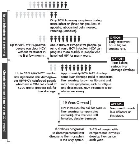 hiv hcv progression positive thebody risk fig hepatitis living guide