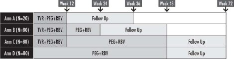Figure 2. PROVE 1 Study Design (United States)