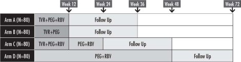 Figure 3. PROVE 2 Study Design (Europe)