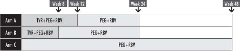 Figure 5. Telaprevir Phase III Trial Design