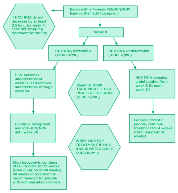 Fig 1. Boceprevir: Treatment-Naive Algorithm